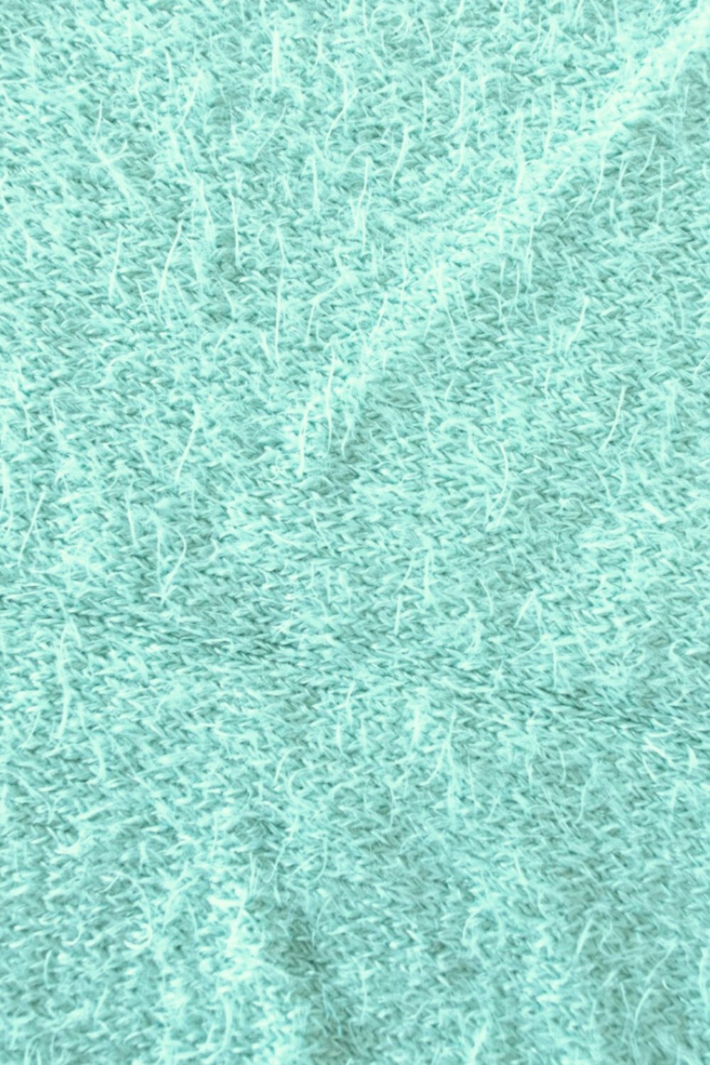 SUCULENTA