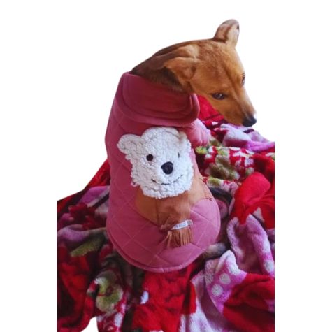 Roupa Pet